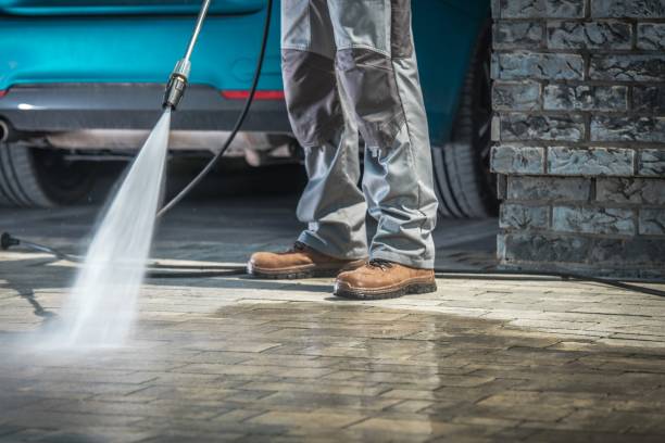 Best Animal Enclosure Cleaning  in Kettering, OH